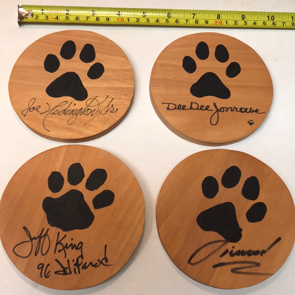 Iditarod Mushers